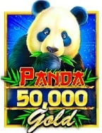 โปร 50pg เรียนรู้วิธีเล่นอย่างมือโปร